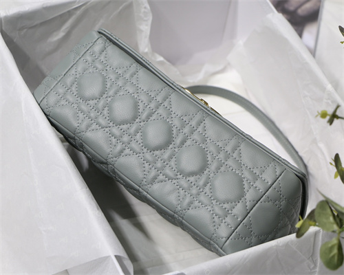 cd medium di.or caro bag S*pple cannage calfskin gold tone metal stone grey