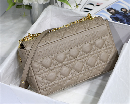 cd medium di.or caro bag S*pple cannage calfskin gold tone metal taupe