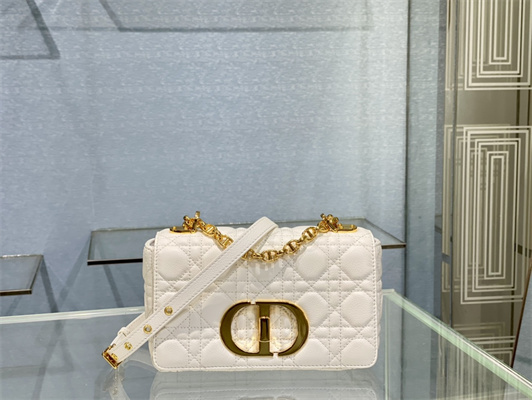 cd small di.or caro bag S*pple cannage calfskin gold tone metal white