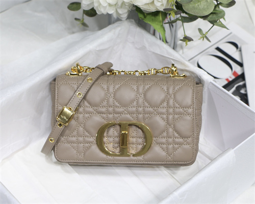 cd small di.or caro bag S*pple cannage calfskin gold tone metal taupe