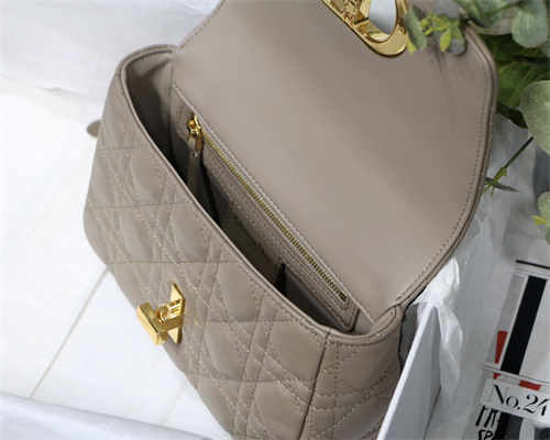 cd small di.or caro bag S*pple cannage calfskin gold tone metal taupe