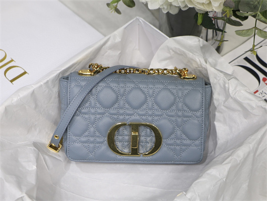 cd small di.or caro bag S*pple cannage calfskin gold tone metal blue