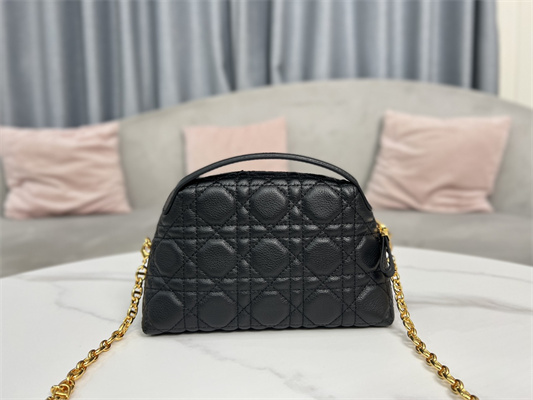 cd caro d-cosy mini bag S*pple cannage calfskin gold tone metal black