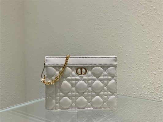 cd caro zipped pouch S*pple cannage calfskin gold tone metal white