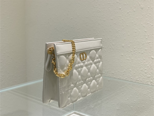 cd caro zipped pouch S*pple cannage calfskin gold tone metal white