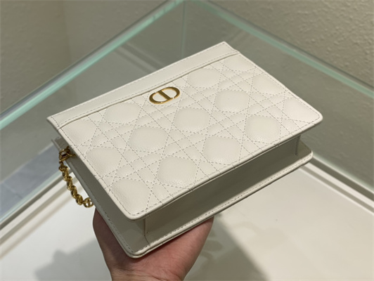 cd caro zipped pouch S*pple cannage calfskin gold tone metal white