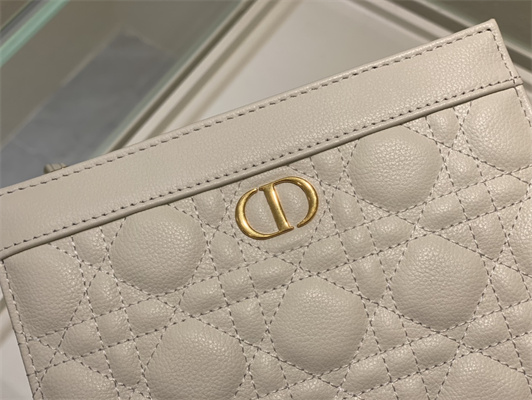 cd caro zipped pouch S*pple cannage calfskin gold tone metal white