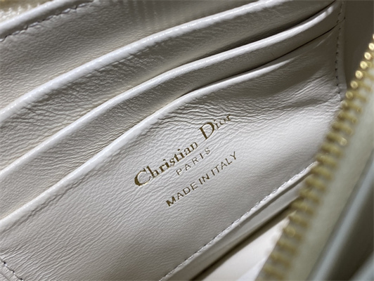 cd caro zipped pouch S*pple cannage calfskin gold tone metal white