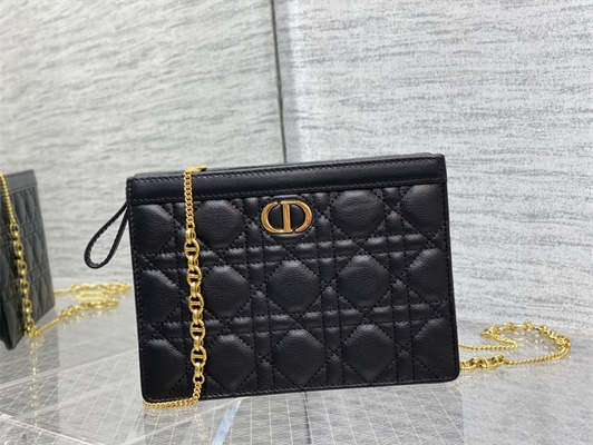 cd caro zipped pouch S*pple cannage calfskin gold tone metal black