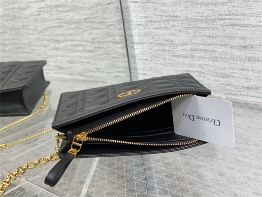 cd caro zipped pouch S*pple cannage calfskin gold tone metal black