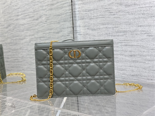 cd caro zipped pouch S*pple cannage calfskin gold tone metal stone grey