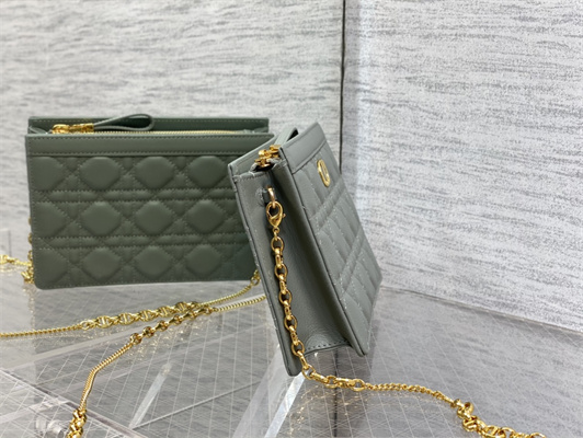 cd caro zipped pouch S*pple cannage calfskin gold tone metal stone grey