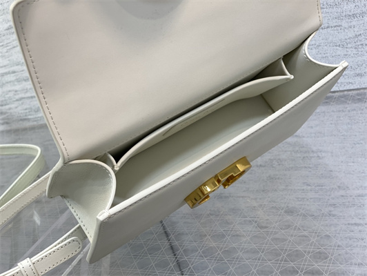 CD 30 Montaigne East-West Bag With Chain Latte Calfskin