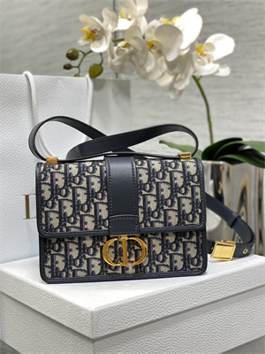 CD Small 30 Montaigne Bag Blue Oblique Jacquard