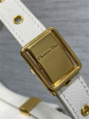 CD 30 Montaigne Bag Grained Calfskin Latte