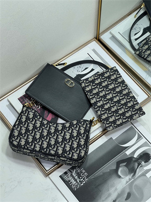 CD HOBO Avenue Bag Blue Oblique Jacquard