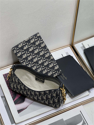 CD HOBO Avenue Bag Blue Oblique Jacquard