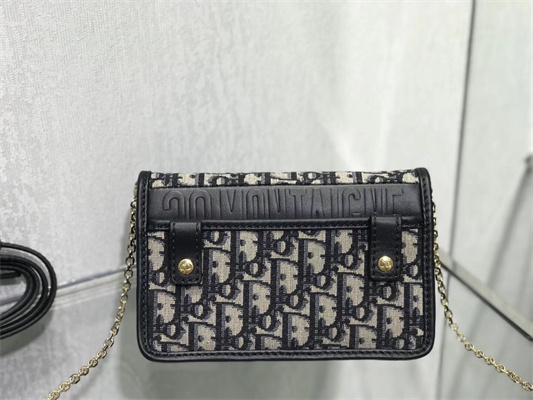 CD 30 Montaigne 2-In-1 Pouch Blue Oblique Jacquard