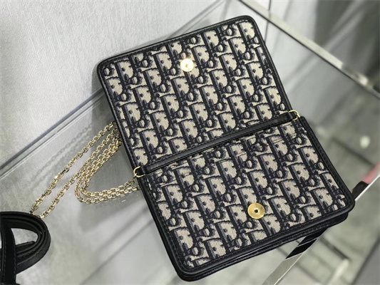 CD 30 Montaigne 2-In-1 Pouch Blue Oblique Jacquard