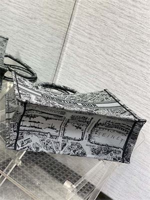 CD Large Book Tote Grey and Black Plan de Paris Embroidery