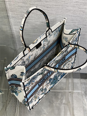 CD Large Book Tote Toile de Jouy Mexico Embroidery White and Pastel Midnight Blue