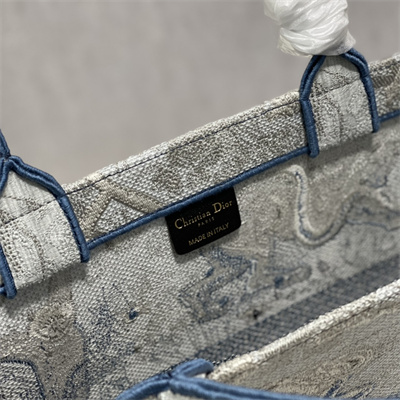 CD Large Book Tote Gradient Toile de Jouy Embroidery Blue