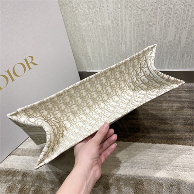 CD Large Book Tote White and Gold Tone Oblique Embroidery