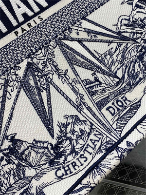 CD Large Book Tote R??ve d’Infini Embroidery White and Blue