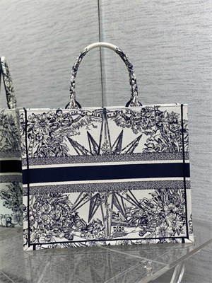 CD Large Book Tote R??ve d’Infini Embroidery White and Blue