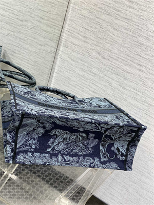 CD Large Book Tote Toile de Jouy Embroidery Denim Blue