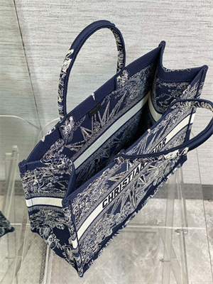 CD Large Book Tote R??ve d’Infini Embroidery Blue and White
