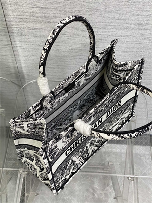 CD Medium Book Tote White and Black Plan de Paris Embroidery