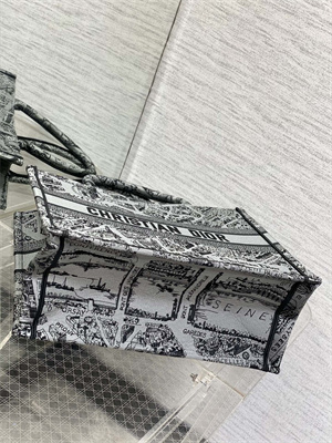 CD Medium Book Tote Grey and Black Plan de Paris Embroidery
