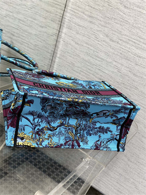 CD Medium Book Tote Voyage Toile de Jouy Embroidery Blue and Multicolor