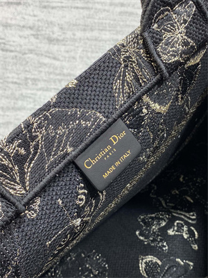 CD Medium Book Tote Toile de Jouy Mexico Embroidery Black and Gold Tone