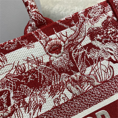 CD Medium Book Tote Stripes Toile de Jouy Embroidery White and Red