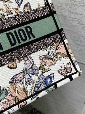 CD Medium Book Tote Toile de Jouy Mexico Embroidery White Multicolor