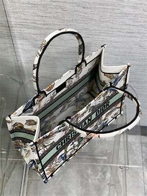 CD Medium Book Tote Toile de Jouy Mexico Embroidery White Multicolor