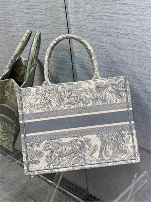 CD Medium Book Tote Toile de Jouy Embroidery Ecru and Grey