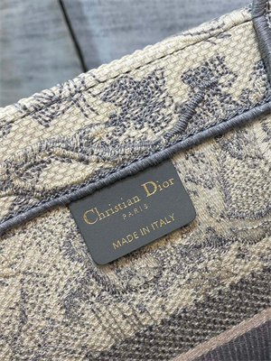 CD Medium Book Tote Toile de Jouy Embroidery Ecru and Grey