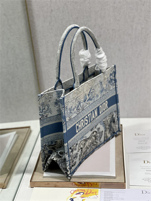 CD Medium Book Tote Gradient Toile de Jouy Embroidery Blue