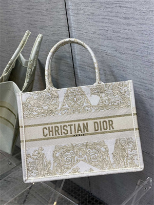 CD Medium Book Tote R??ve d’Infini Embroidery White and Gold Tone