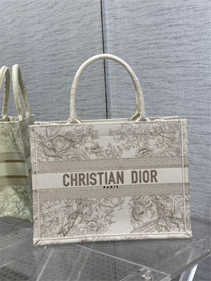 CD Medium Book Tote Jardin d’Hiver Embroidery White and Gold Tone