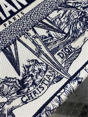 CD Medium Book Tote R??ve d’Infini Embroidery White and Blue