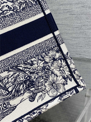 CD Medium Book Tote R??ve d’Infini Embroidery White and Blue