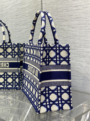 CD Medium Book Tote Beige and Blue Macrocannage Embroidery