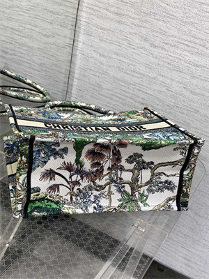 CD Medium Book Tote ??toile de Voyage Embroidery Green Multicolor