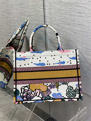 CD Medium Book Tote Ciel de R??ve Embroidery White Multicolor