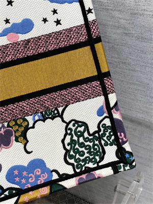 CD Medium Book Tote Ciel de R??ve Embroidery White Multicolor