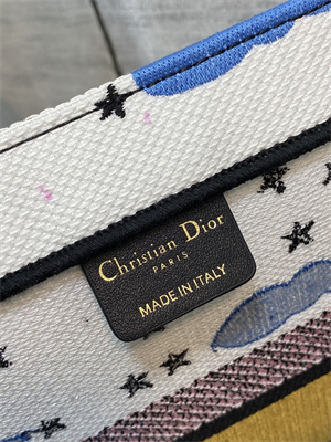 CD Medium Book Tote Ciel de R??ve Embroidery White Multicolor